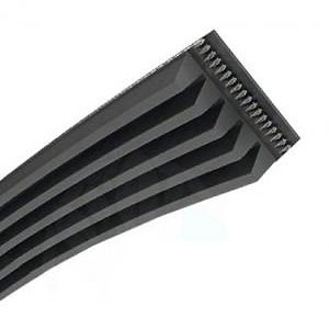 CRA0021- Correa 1210 EPJ 5V OTSEIN CANDY 80001704 - Imagen 3