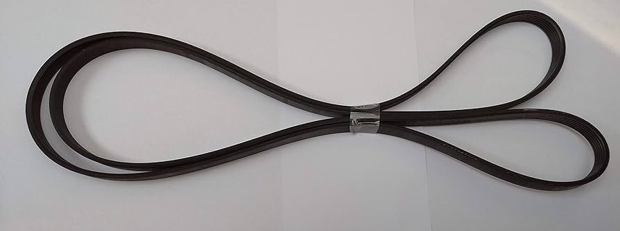 CRA0080 CORREA 1651 J 481935810056 - Imagen 3