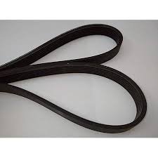 CRA0080 CORREA 1651 J 481935810056 - Imagen 2