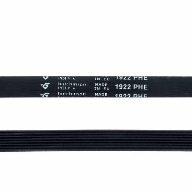 CRA0060 CORREA 1922 PHE ROMMER,NEWPOL - Imagen 3